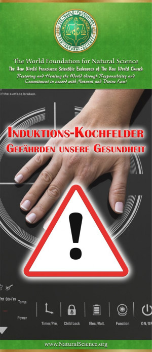 Induktions-Kochfelder – Starke magnetische Felder gefährden unsere Gesundheit (10er-Paket) 