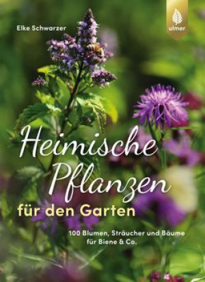Heimische Pflanzen für den Garten