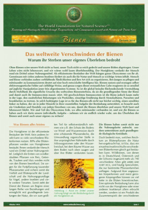 Das weltweite Verschwinden der Bienen